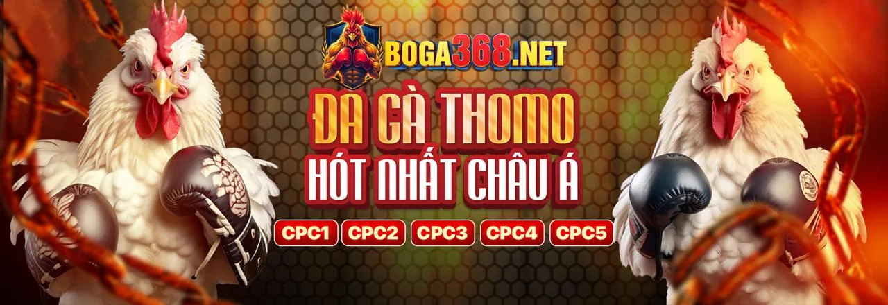 Đá Gà Trực Tuyến Hấp Dẫn trên 66b Tải App